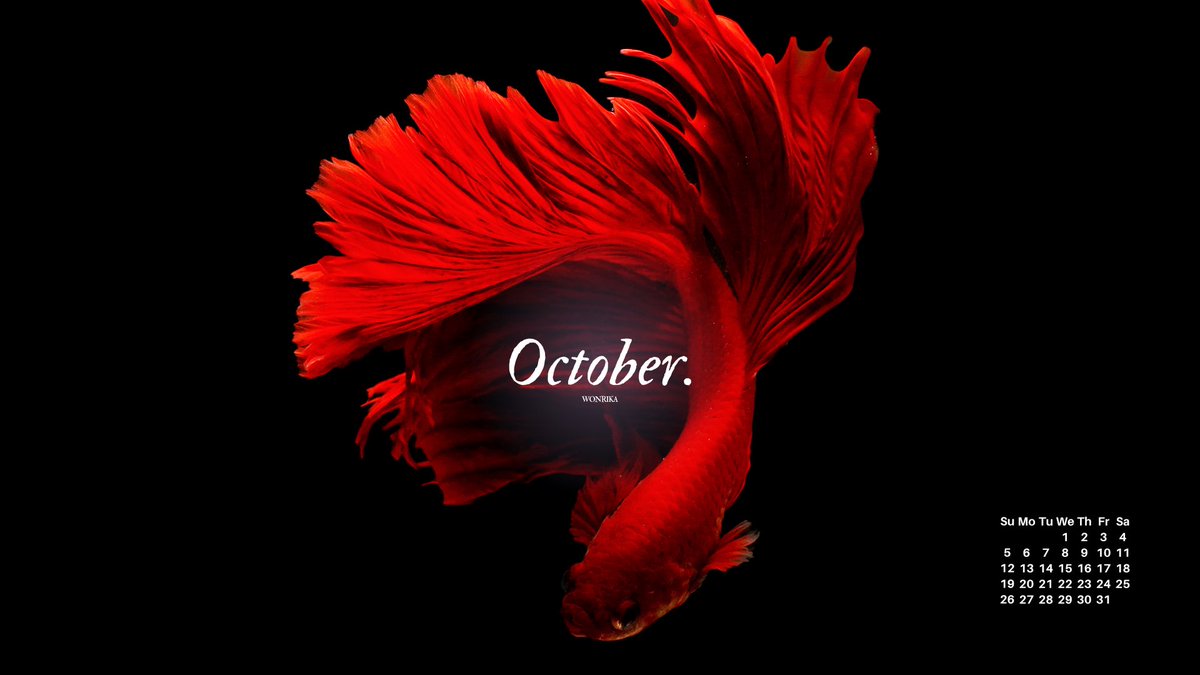 wonrika's tweet image. 🐠 ( 3/4 ) oct wallpapers . .