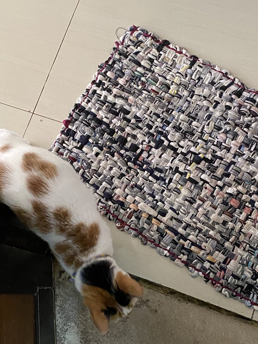 tiap ak ke wc >5 menit, dia nungguin di keset. kadang kl dah kelamaan bgt, beneran sampe ngetok pintunya 😂