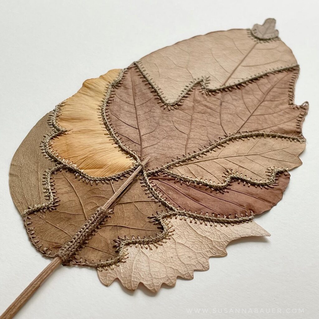 The delicate sewn artworks using real leaves by UK artist Susanna Bauer #womensart
