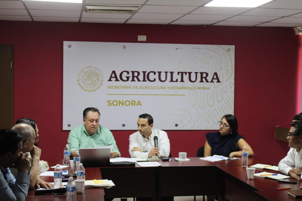 En Sonora se instaló la Mesa de Trabajo Estatal del Acuerdo Nacional #MaízTortilla, en la que autoridades estatales y federales acordaron identificar los liderazgos de la industria de la masa y la tortilla para incluirlos en la mesa, así como a los gobiernos municipales, con la