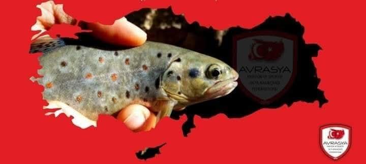 DOĞAL ALABALIK AV YASAĞI BAŞLADI.

6/2 Numaralı Amatör Amaçlı Su Ürünleri Avcılığının Düzenlenmesi Hakkında Tebliğ gereği; üreme dönemi olması sebebiyle Ülkemizde tüm bölgelerde DOĞAL ALABALIK av yasağı 1 Ekim'de başladı.