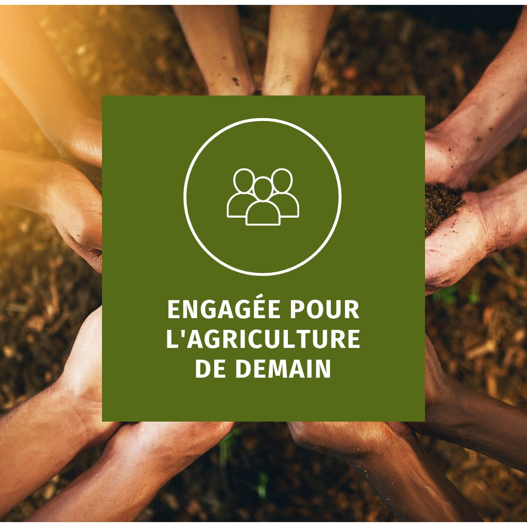 🌍 Nos Technologies : Engagées pour l'Agriculture de Demain !
1️⃣ Gestion de l'Eau améliorée
2️⃣ Fixation du Carbone 
3️⃣ Réduction des Intrants Chimiques 
4️⃣ Lutte Contre le Réchauffement Climatique
#AgricultureDurable #EngagementEnvironnemental