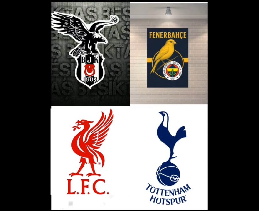 Her kuşun eti yenir artık 😅