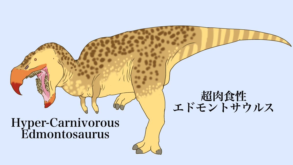 Specuevo's tweet photo. #思弁生物ビッグポスト #Spectember #恐竜 #dinosaur
好評だった食性チェンジ恐竜シリーズの続編!今回は更に食性の幅を増やして…?
The sequel to the popular Dinosaur Diet Change series! This time, we're expanding the range of diets even further...?
https://t.co/KcgPNVyPbB https://t.co/kQYVRiXKeW