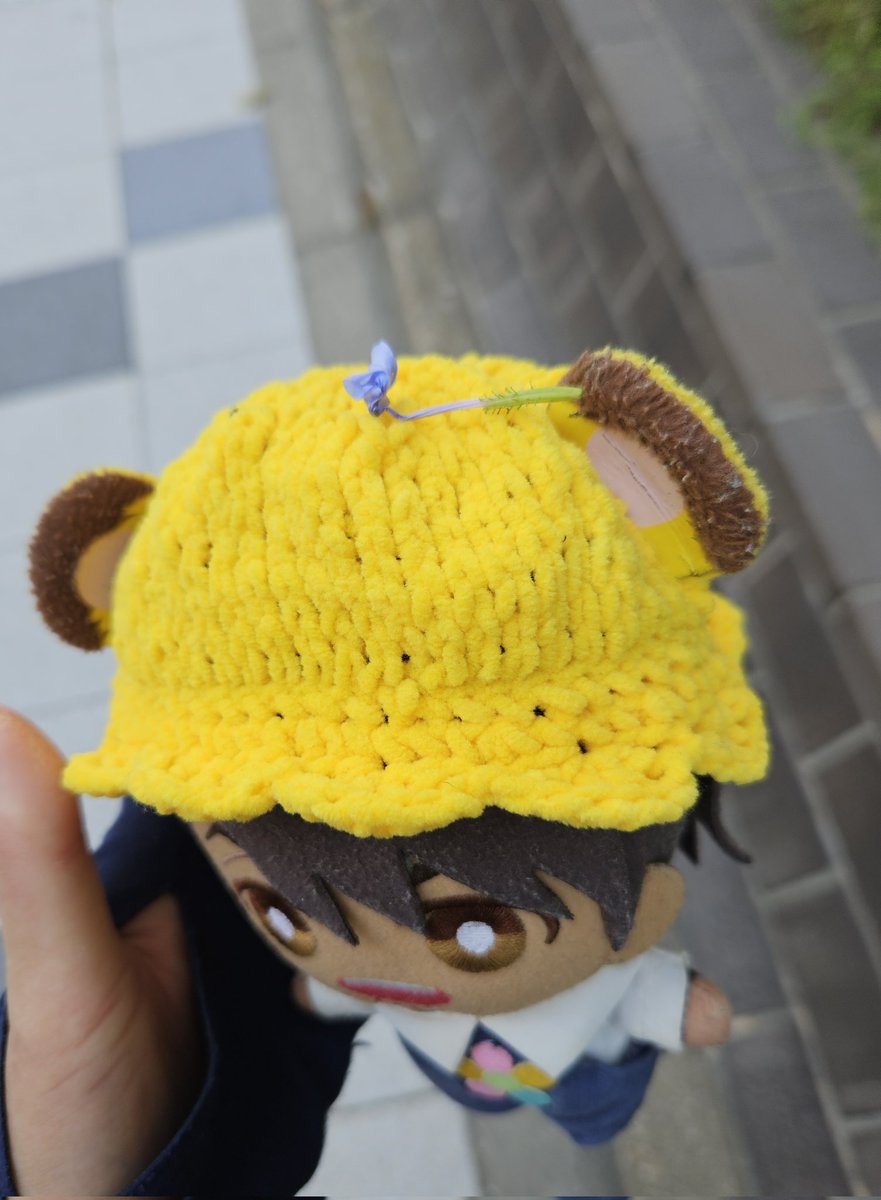 午後のお使い。
近所の大きいビルのお花に挨拶しよう😊
🐯おはなー❗あたらちのおぼーちよの❗おぼーちあたらちのー‼️
🌸…😂😳🫡🤣
 近い近い(笑)
ここのルリマツリちゃんも元気！
🐯おはなー❗こにちわ❗がんがてうねぇ～✨
きょむちゃんお花付けてるよ(笑)
🐯むふふん✨
#今日のきょむちゃん