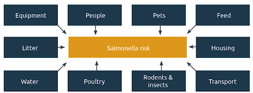 TouristPlacesG's tweet photo. ⚠️🍗 Did you know Salmonella doesn’t just spread through undercooked food?
It can travel via hands, pets, and even kitchen surfaces. 🦠
Stay safe &amp; learn the surprising ways it spreads:
🔗 https://t.co/ReyBmpFpYH
#HealthTips #FoodSafety #DidYouKnow https://t.co/pG7xSGQq7s