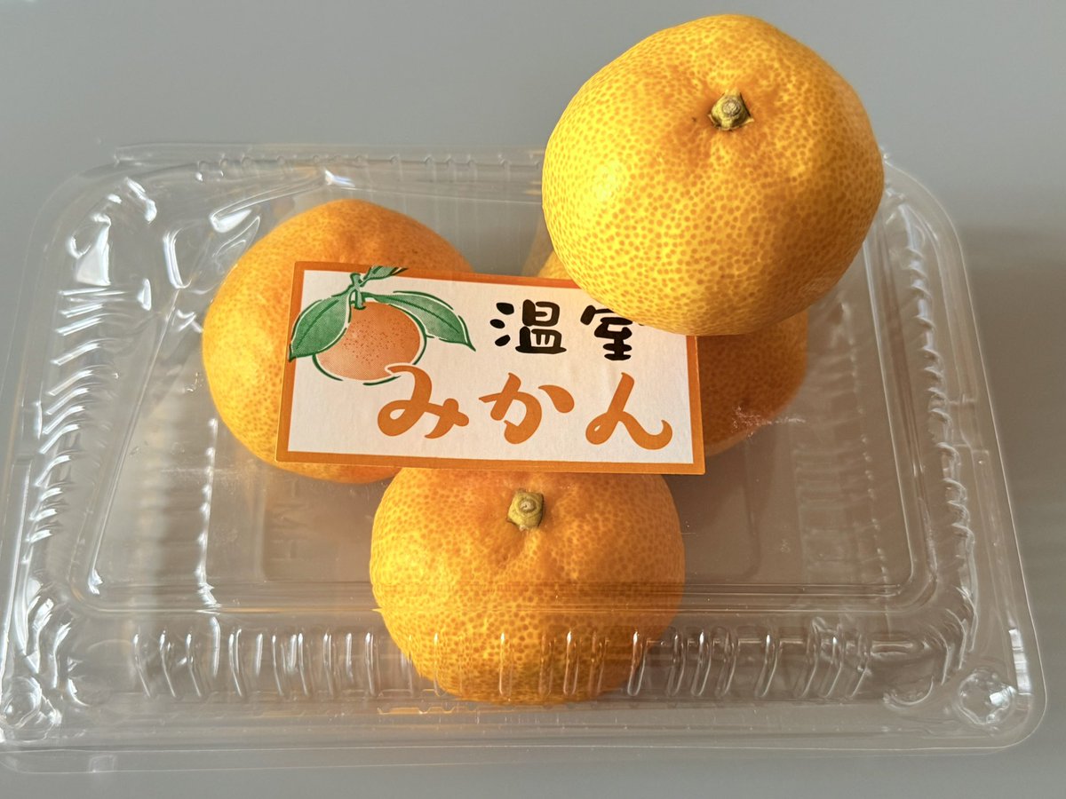 みかん GAIAネット[※]ムソー ノースカラーズ 純国産みかんゼリー 11個