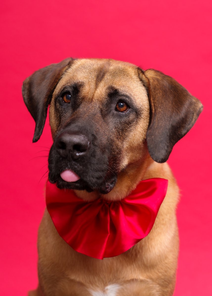 리트리버도 아니고
세퍼드도 아닌
우린 당당 누렁쓰 입니다!!

우리도 가족을 찾아 가고 싶어요..
도와주세요! 

>> 후원계좌:우리 1005-304-794948 사단법인 아크<<