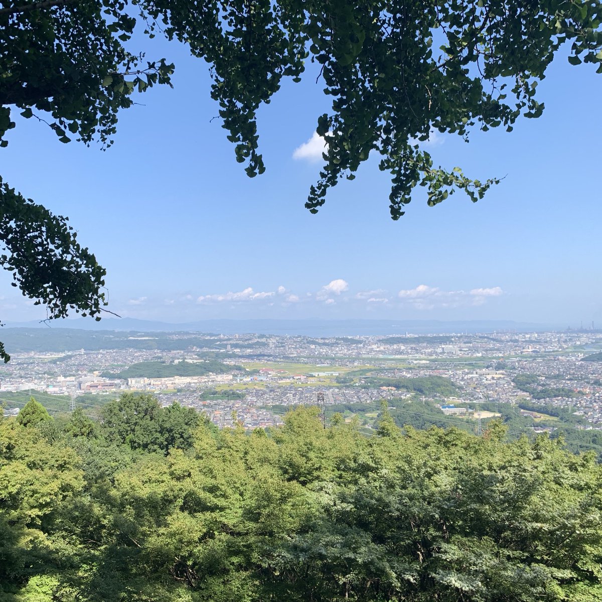 talk_over_'s tweet photo. 100年ほど前の冬の雨の日に自由律俳人・種田山頭火が歩いたであろう山道を、秋の晴れた日にひとり歩いています。ちょっと見学、くらいのつもりだったので、軽装&amp;手ぶらで来ちゃったんですが、思ったより山道です。 https://t.co/zR4mpK0eCM