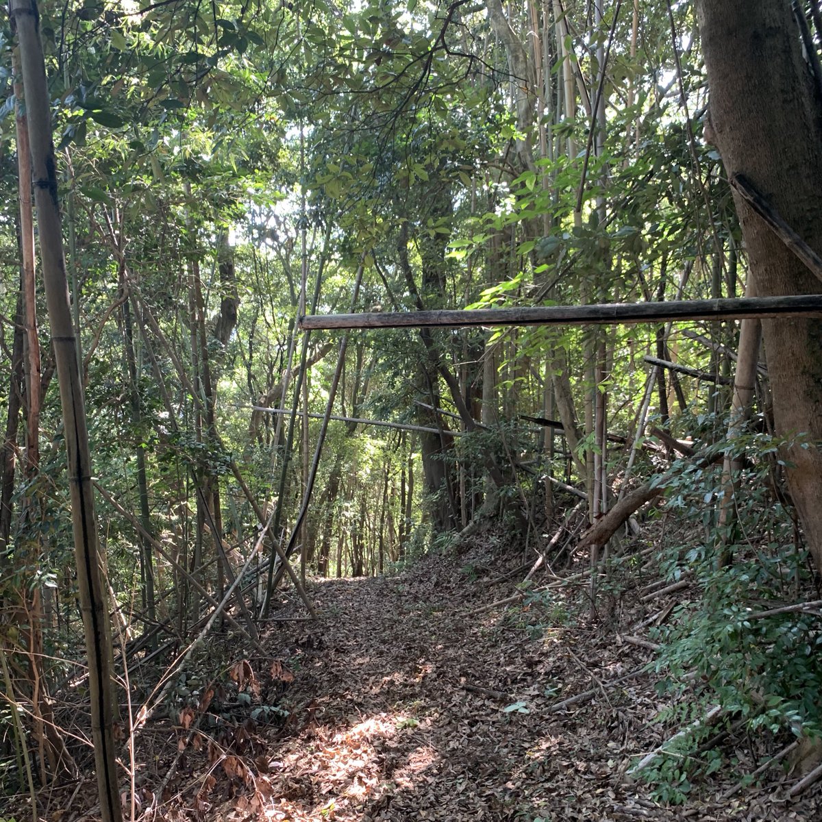 talk_over_'s tweet photo. 100年ほど前の冬の雨の日に自由律俳人・種田山頭火が歩いたであろう山道を、秋の晴れた日にひとり歩いています。ちょっと見学、くらいのつもりだったので、軽装&amp;手ぶらで来ちゃったんですが、思ったより山道です。 https://t.co/zR4mpK0eCM