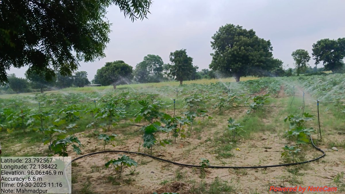 SPMUGuj's tweet photo. Dt. 30.09.2025
QCI field verification for DLI#3, DLI#4, and DLI#5 at GPs of Patan Block , District- Patan. 
@AtalJal https://t.co/DWd9exrx84