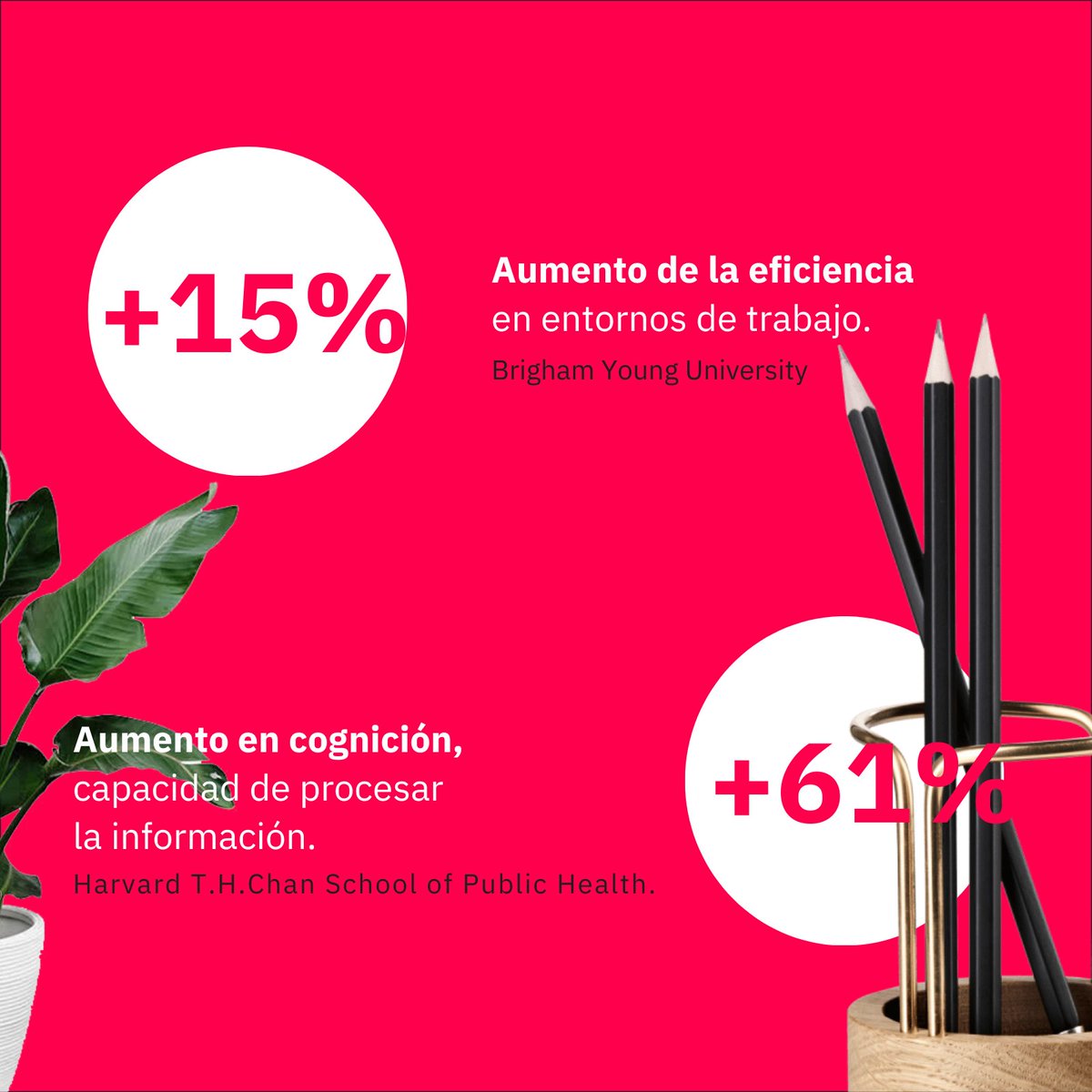 BalearsEcomon's tweet photo. 💼 Una oficina limpia = más salud y productividad.
94% de empleados rinden mejor en un espacio limpio.
En #Mallorca, Ecomon te ayuda a cuidar tu oficina.
#HigieneOficinas #BienestarLaboral https://t.co/puH0I7jelt