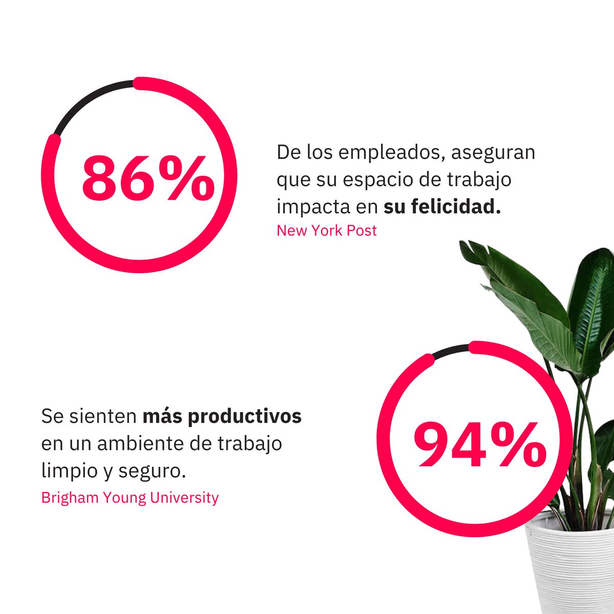 BalearsEcomon's tweet photo. 💼 Una oficina limpia = más salud y productividad.
94% de empleados rinden mejor en un espacio limpio.
En #Mallorca, Ecomon te ayuda a cuidar tu oficina.
#HigieneOficinas #BienestarLaboral https://t.co/puH0I7jelt