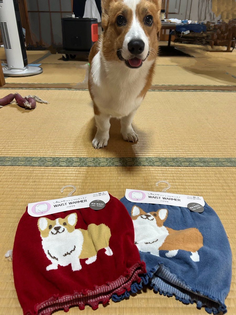 買い占めて来た(5枚ね)けど私の腹回りには小さい…ゴフッ #illusie300