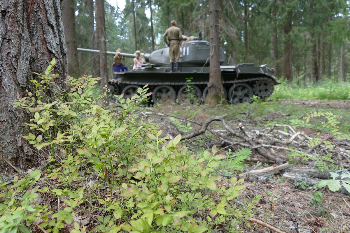 YPasholok's tweet photo. T-44M (ex-BTS-4), War Motors, august 2022
https://t.co/2yzmxbtibr
#t44
#warmotors https://t.co/2pVdUi1oBk