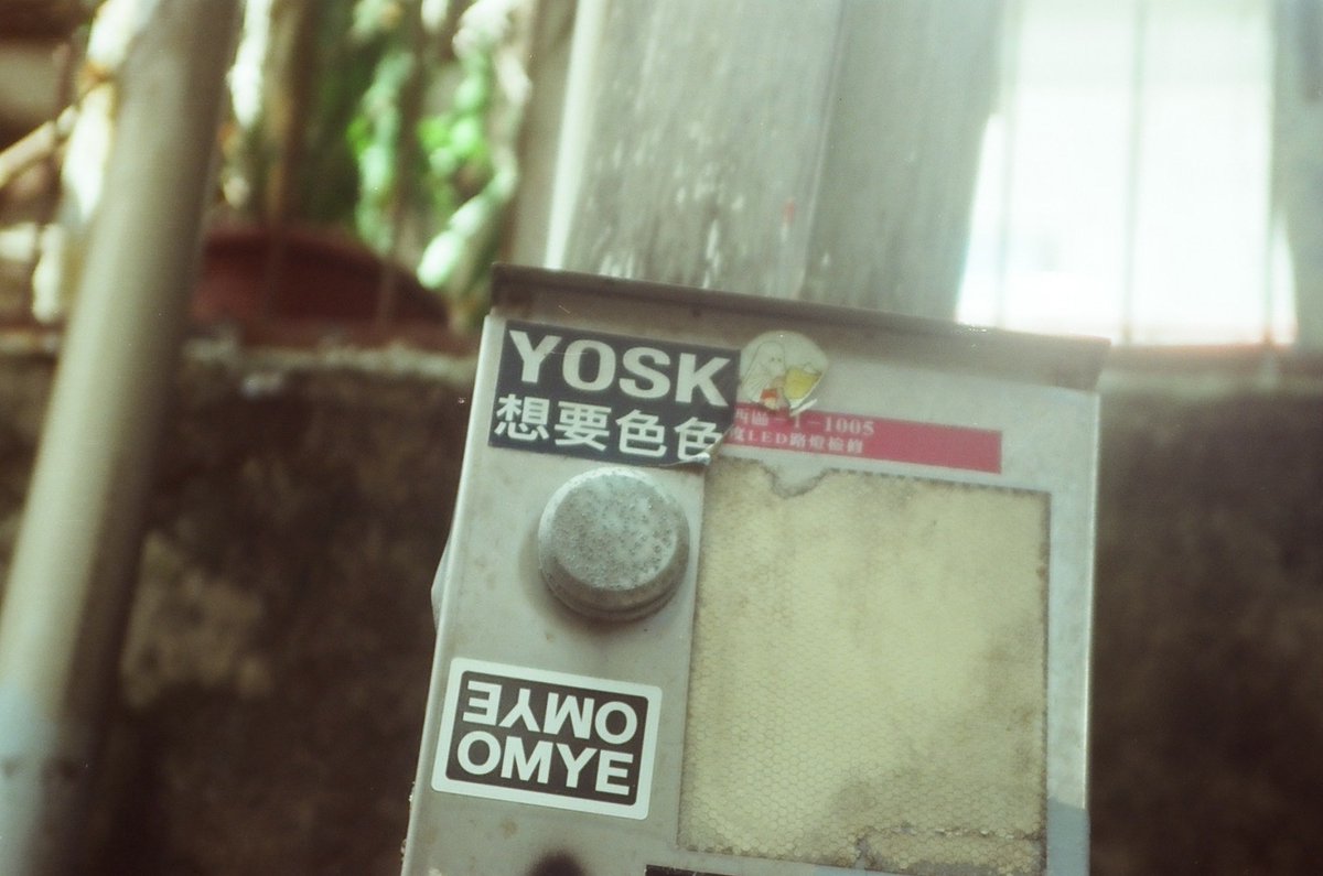 留言抓10個幸運兒進入平行時空😶‍🌫️

（進入規則：需要提供臉照跟色色照，確認不是假帳號🐷）

（接受規則再留言）