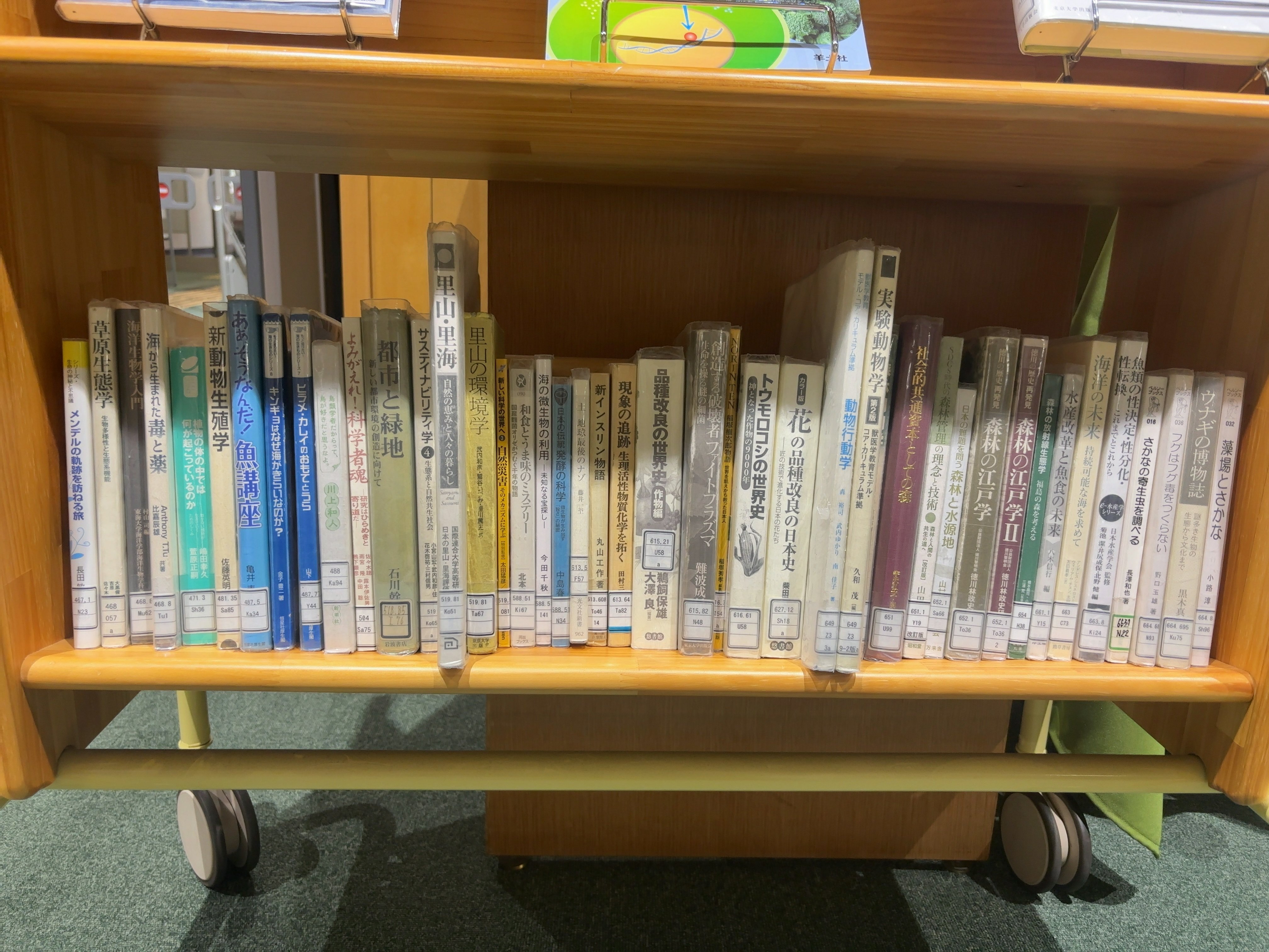 【中古】 農学薬学系大学院案内 １９９１年度版/東京図書/東京図書株式会社 中古】 農学薬学系大学院案内 1991年度版/東京図書/東京図書