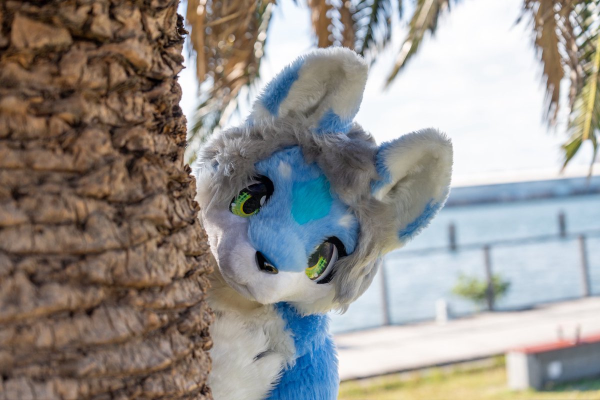 ひょこ

Photo <a href="/Larry_0404/">ラリー（Larry）</a>