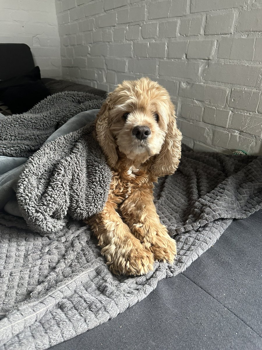 Сьогодні гарний день шоб закрити оцей малесенький збір. Не хвата 19к

send.monobank.ua/jar/3sRhhc5KTR