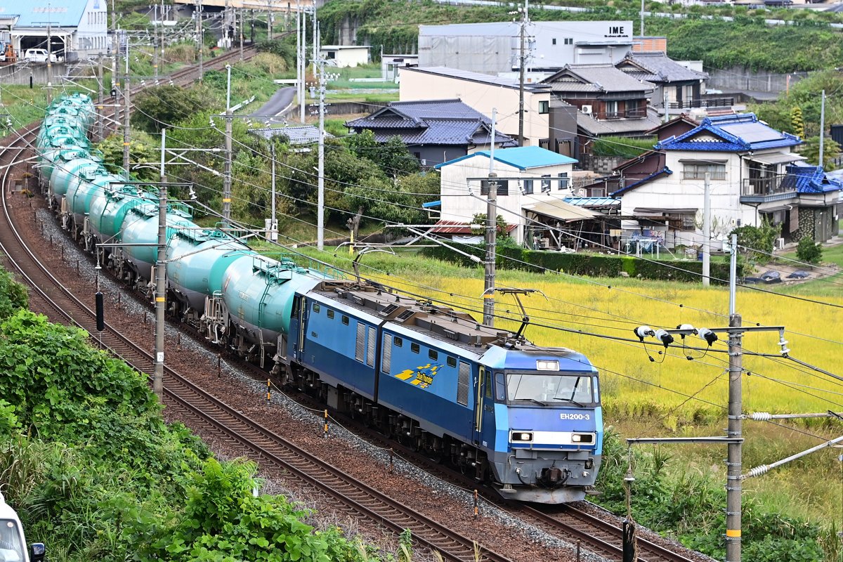 伊右衛門ページ 矢左衛門 on X