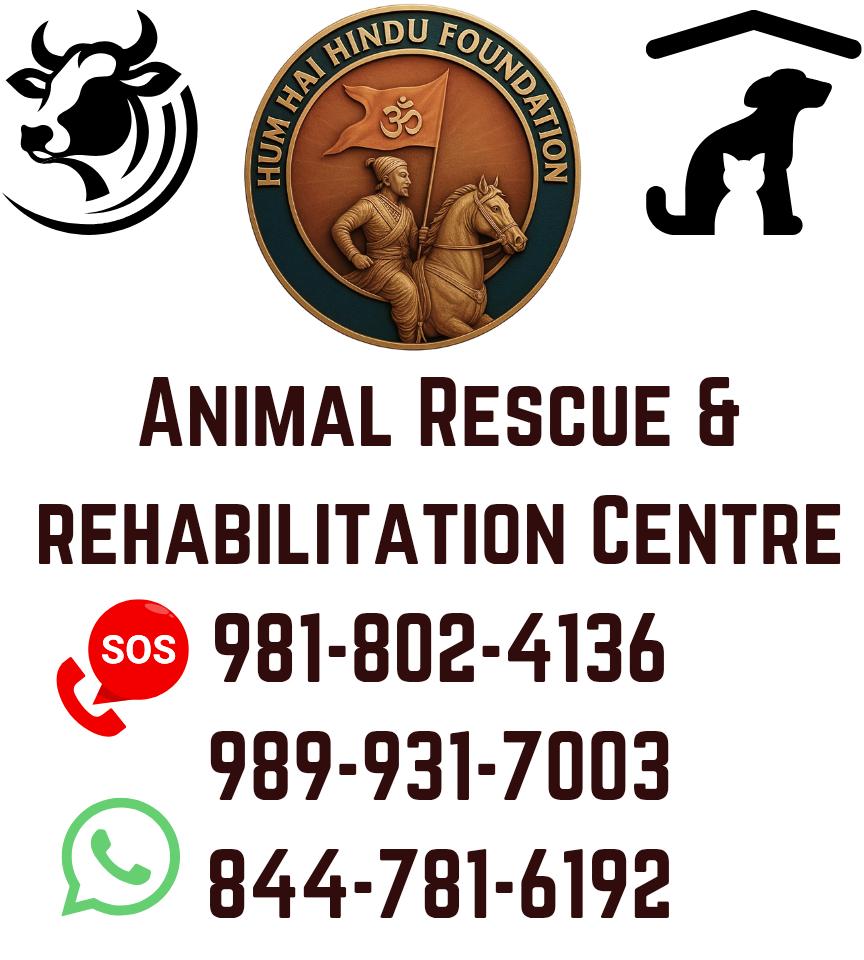Plz report any kind of animal rescue needed across Delhi/NCR on our numbers. We are available 24x7.
Any sewa would be appreciated. Jai shri ram jai gau mata