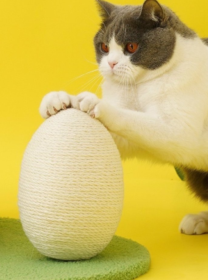 MOFUCATたまご爪とぎ&トラックボールトイ付きニワトリさんキャット