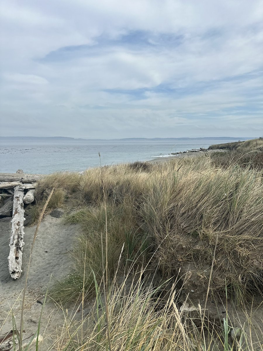Learning2BNude's tweet photo. Rode my motorcycle out to the coast on Sunday.  Much needed wind therapy. https://t.co/ui3gSaYAaV