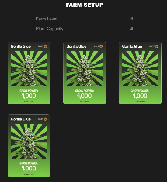 SlowDebt tweet media