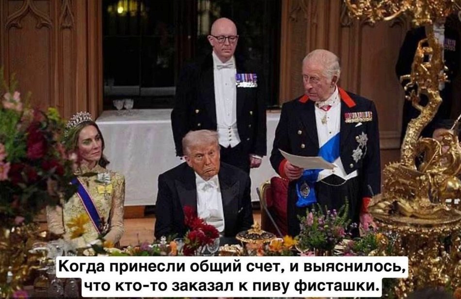 Кабан-гедонист (@wd5d01) on Twitter photo 