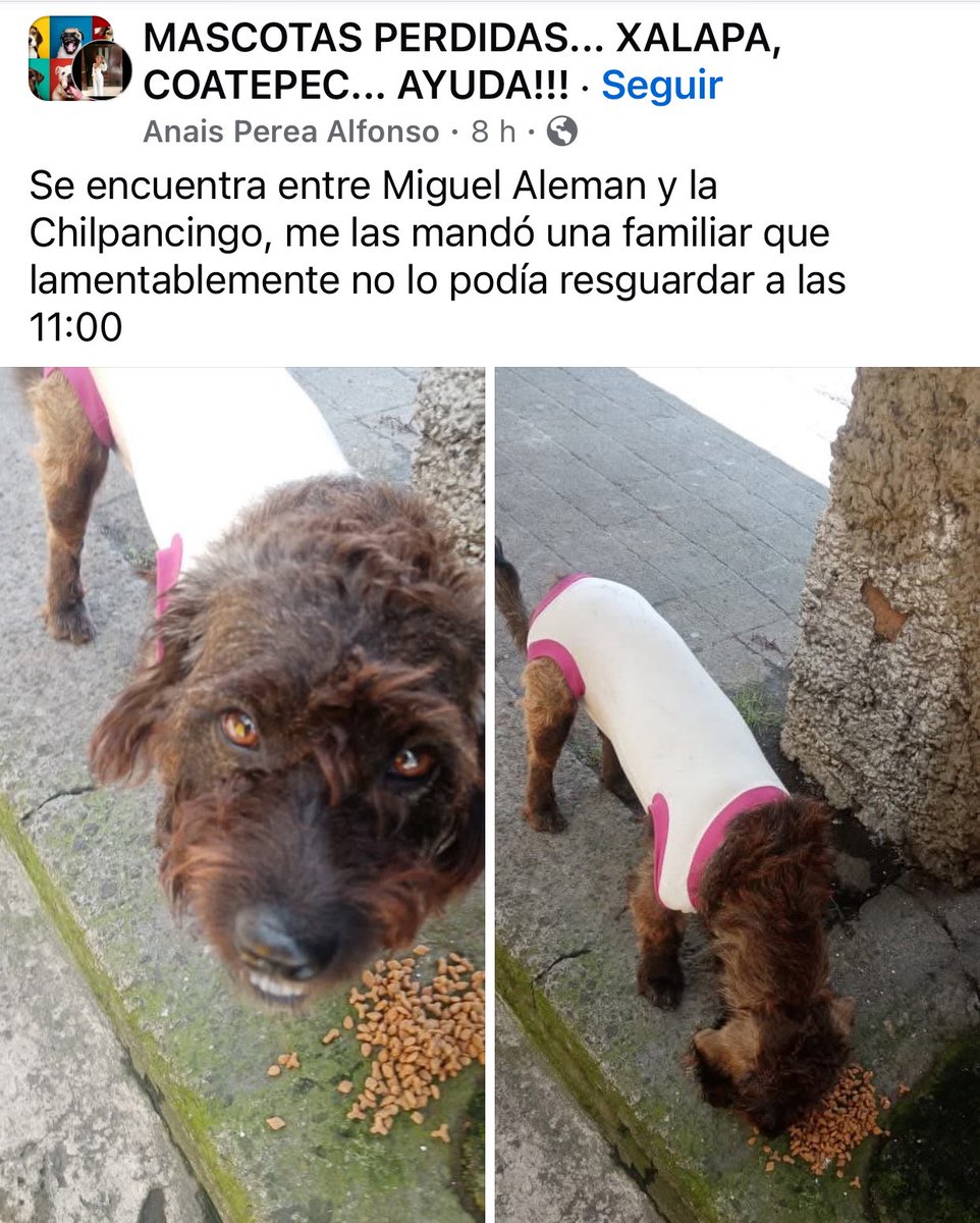 #Xalapa RT🐶
<a href="/mayteponm/">Mayte P.</a> <a href="/mageba04/">Gina alarcon</a> <a href="/Corintiacruz/">Corintia Cruz Oregón</a> <a href="/VialidadXalapa/">Vialidad Xalapa 🚦 VX 🌎</a> <a href="/AbelMucino/">Abel Muciño</a> <a href="/tierraverde1943/">ℓια ₊˚.༄ *ﾟ🌱</a> <a href="/pilykuera/">Pily Peregrina</a> <a href="/CECILLIA36/">CECILIA MENDEZ</a> <a href="/sara_juarez/">saraliz</a> <a href="/Ydlan/">Naldy Patricia</a> <a href="/fherciencias/">Soy Fher!</a> <a href="/camellinlove/">Porque soy xalapeño</a> <a href="/ArrezEdda/">Edda Arrez</a> <a href="/PopColorsXal/">PopCX</a> <a href="/RoxanaAAT/">Feto de PicaFresa🍓</a> <a href="/penelopemoncayo/">Penélope Moncayo.</a> <a href="/Zapatito_Azul/">Yuria Eldia Reyes</a> <a href="/sandysiux/">Sandy Colunga</a> <a href="/rociosaiz/">Rocio Saiz</a> <a href="/Pechmed/">Peter Tweet</a> <a href="/marinavera100/">Marina Vera</a> RT