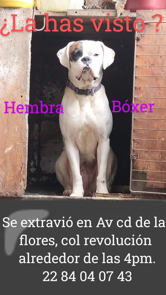 RT🐶
<a href="/mayteponm/">Mayte P.</a> <a href="/mageba04/">Gina alarcon</a> <a href="/Corintiacruz/">Corintia Cruz Oregón</a> <a href="/VialidadXalapa/">Vialidad Xalapa 🚦 VX 🌎</a> <a href="/AbelMucino/">Abel Muciño</a> <a href="/tierraverde1943/">ℓια ₊˚.༄ *ﾟ🌱</a> <a href="/pilykuera/">Pily Peregrina</a> <a href="/CECILLIA36/">CECILIA MENDEZ</a> <a href="/sara_juarez/">saraliz</a> <a href="/Ydlan/">Naldy Patricia</a> <a href="/fherciencias/">Soy Fher!</a> <a href="/camellinlove/">Porque soy xalapeño</a> <a href="/ArrezEdda/">Edda Arrez</a> <a href="/PopColorsXal/">PopCX</a> <a href="/RoxanaAAT/">Feto de PicaFresa🍓</a> <a href="/penelopemoncayo/">Penélope Moncayo.</a> <a href="/Zapatito_Azul/">Yuria Eldia Reyes</a> <a href="/sandysiux/">Sandy Colunga</a> <a href="/rociosaiz/">Rocio Saiz</a> <a href="/Pechmed/">Peter Tweet</a> <a href="/marinavera100/">Marina Vera</a> #Xalapa RT