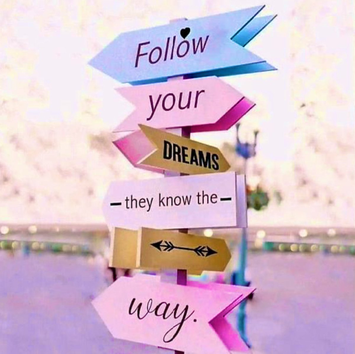 colourpopsplash's tweet photo. Don’t be pushed around by the fears in your mind. Be lead by the dreams in your heart 🩷🩵💛 

#staystrong #dreambig #followyourdreams #pride #tpwk #kindness #Respect #justdoit https://t.co/RVhosyc1dG