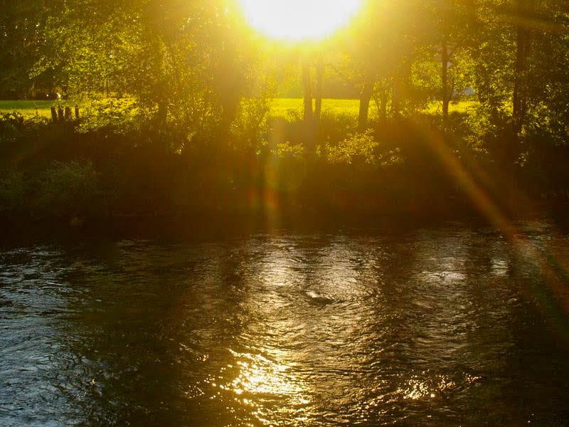NavarraalNatura's tweet image. #Septiembre 

Arde la tarde en los costados del río; pululan insectos en el aire que centellea; el sol amarillo reluce y deslumbra justo antes de pintar de rojo el horizonte.

Las mañanas demoradas y las hojas que viajan recomiendan no olvidarse que todo va cayendo con sosiego.