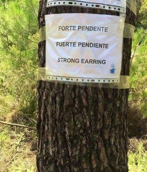 Creo que <a href="/PattyLlaneza/">Patricia Llaneza</a> esbozará una sonrisa con esta "traducción profesional".