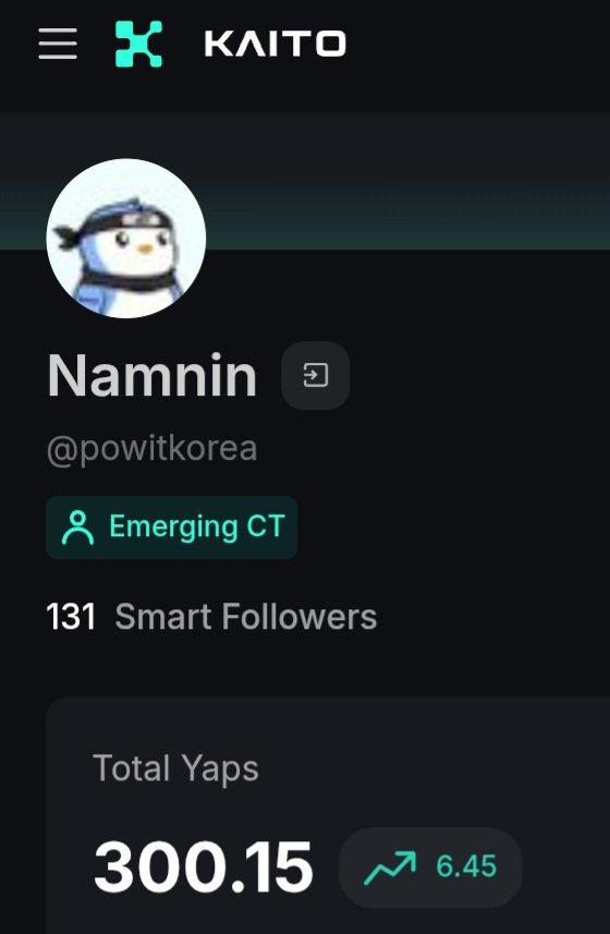 Namnin 🌊 tweet media