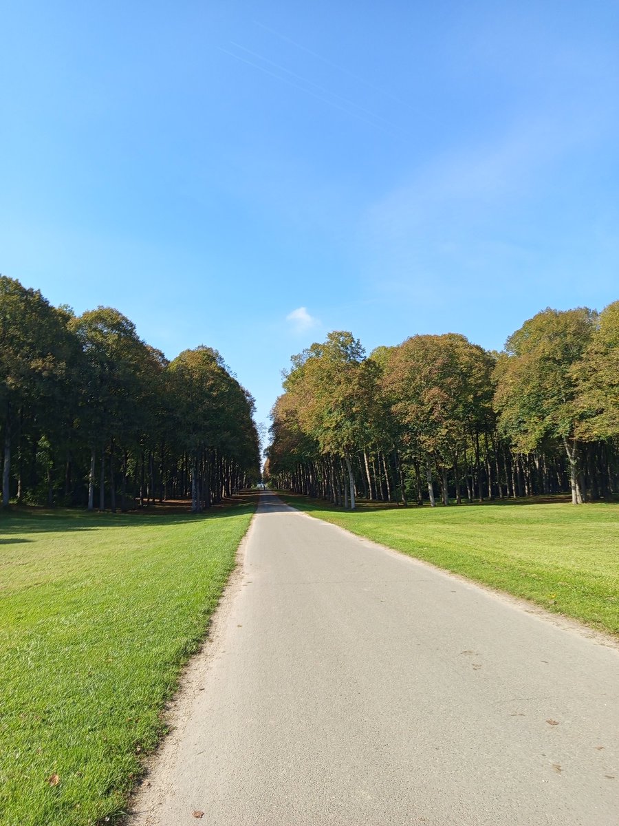 Enjoy the web3 path!