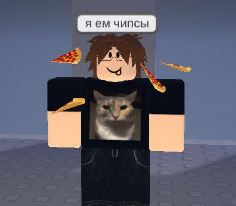 vallotos_'s tweet image. my roblox oc/avatar Misha