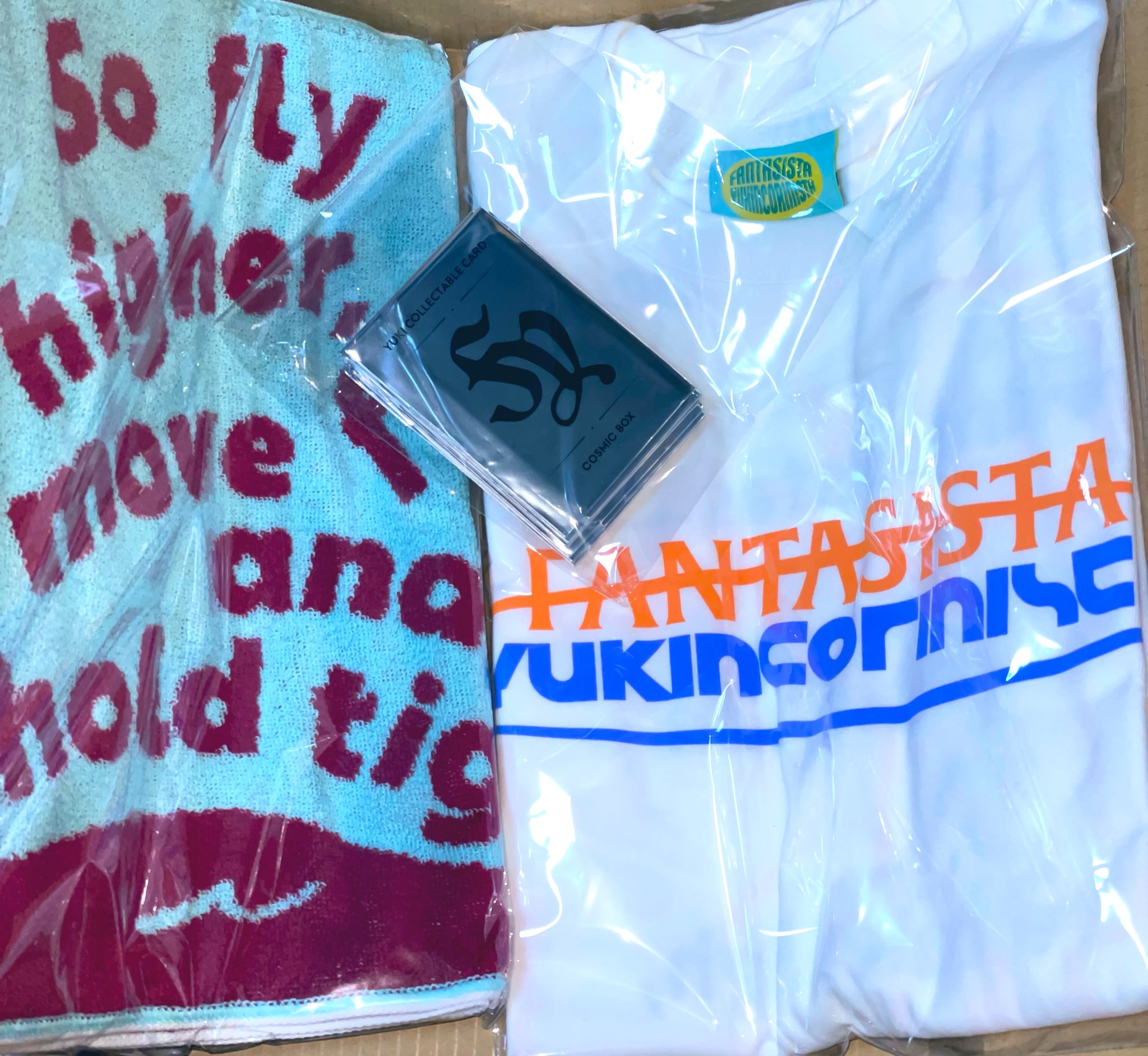 YUKI commune of ten 2016 スタッフ Tシャツ YUKI commune of ten 2016