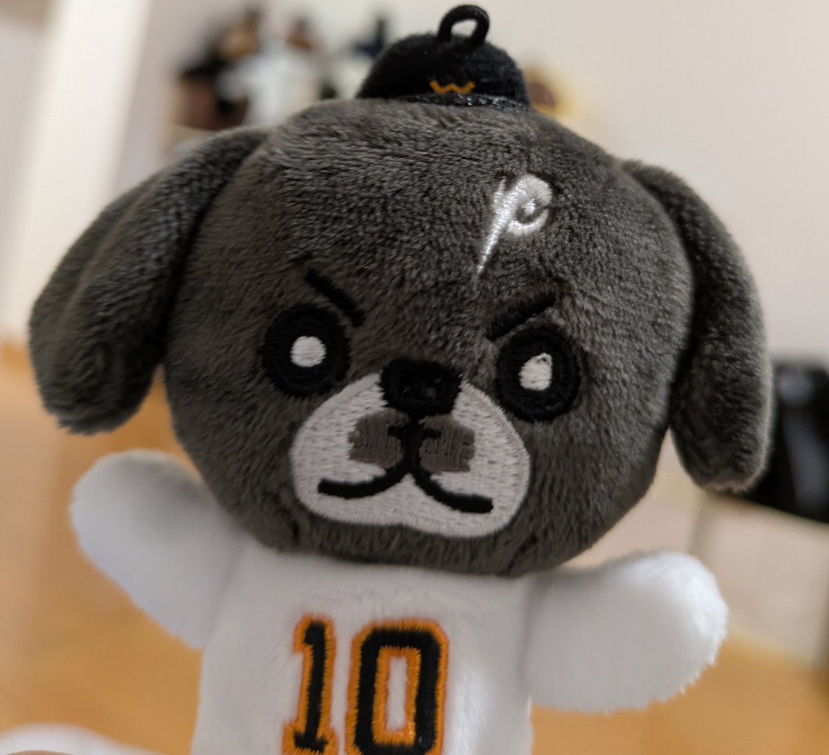 ぼくは、ふみまる。 カイシーズーくん、明日、はるプーくんが早めに