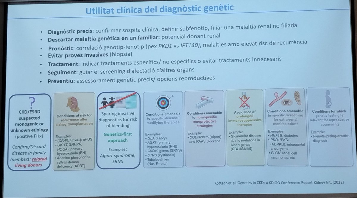 Romina Escalante (@romisoleecc) on Twitter photo Jornadas RenHerCat 2025 - Sociedad Catalana de Nefrología
Diagnòstic genètic de malalties renals hereditàries - Dra. Elisabet Ars
<a href="/SJDNefrologia/">SJDNefrologia</a> <a href="/nefrocat/">Societat Catalana de Nefrologia</a> <a href="/SENefrologia/">S.E.N. Nefrología</a> <a href="/ESPNSociety/">ESPN</a> <a href="/IPNA_PedNeph/">IPNA Ped Nephrology</a> <a href="/Alanepe1/">Alanepe</a> Jornadas RenHerCat 2025 - Sociedad Catalana de Nefrología
Diagnòstic genètic de malalties renals hereditàries - Dra. Elisabet Ars
<a href="/SJDNefrologia/">SJDNefrologia</a> <a href="/nefrocat/">Societat Catalana de Nefrologia</a> <a href="/SENefrologia/">S.E.N. Nefrología</a> <a href="/ESPNSociety/">ESPN</a> <a href="/IPNA_PedNeph/">IPNA Ped Nephrology</a> <a href="/Alanepe1/">Alanepe</a>