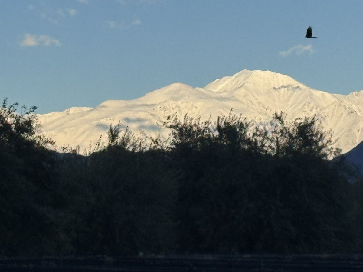 lindo el Plata para Octubre