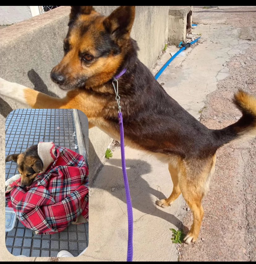 Adriana (@adriana43587622) on Twitter photo 