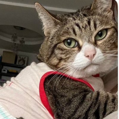 #NewProfilePic