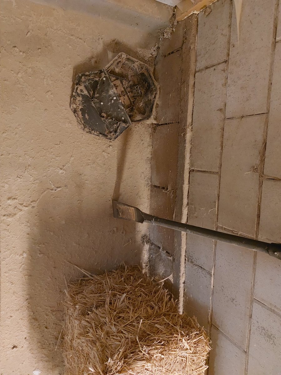 Kom je er net achter dat het gespecialiseerde ongedierte bestrijding bedrijf het niet zo nauw neemt. 22 van de 24 plafond potten leeg. En op de grond ook de meeste leeg op een dooie muis na. Overheid en wettelijke regels, om te huilen.