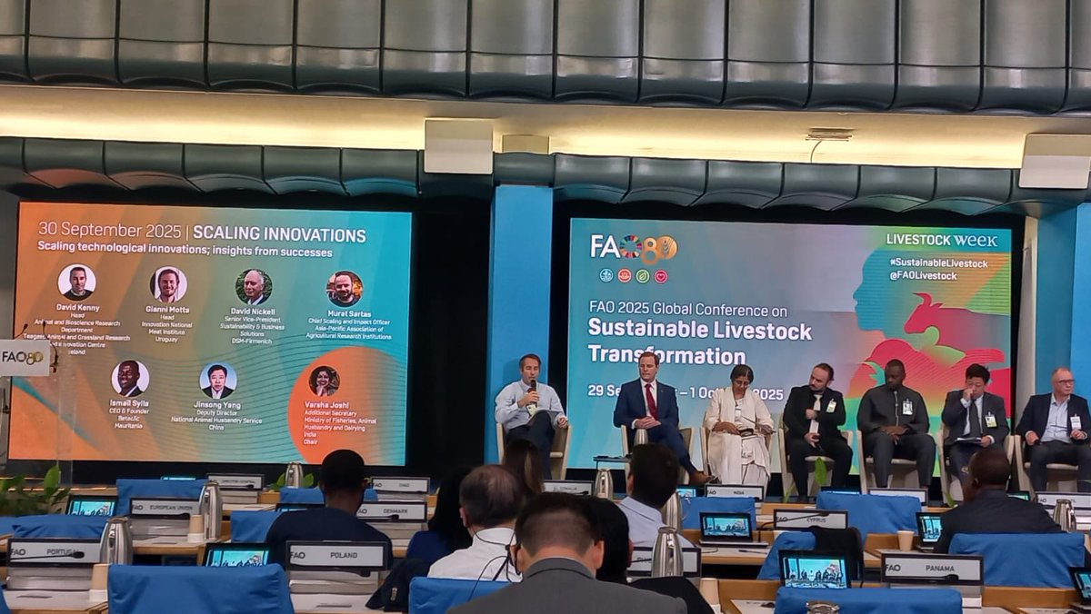 Horizon_StepUp tweet media