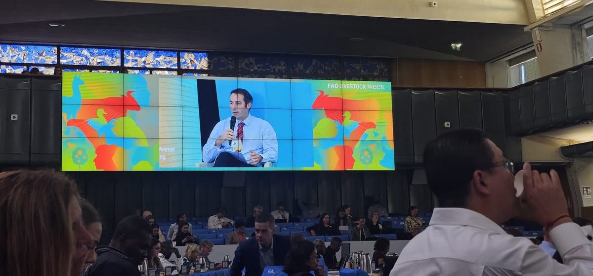 Horizon_StepUp tweet media