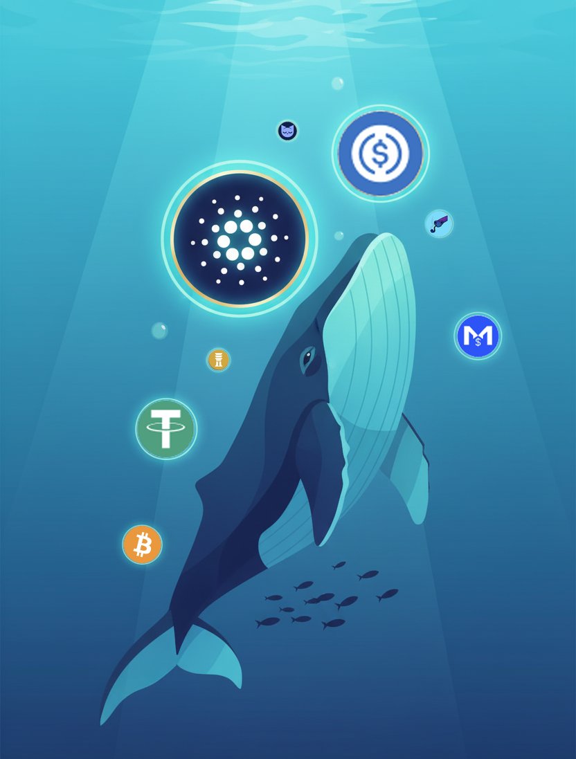 liqwidfinance's tweet image. 🔔🐳 
Total Value Locked surged +$6.1M (+5.17%) since yesterday — now at $124M.

v2.liqwid.finance/?utm_source=li…
$LQ  #CardanoDefi