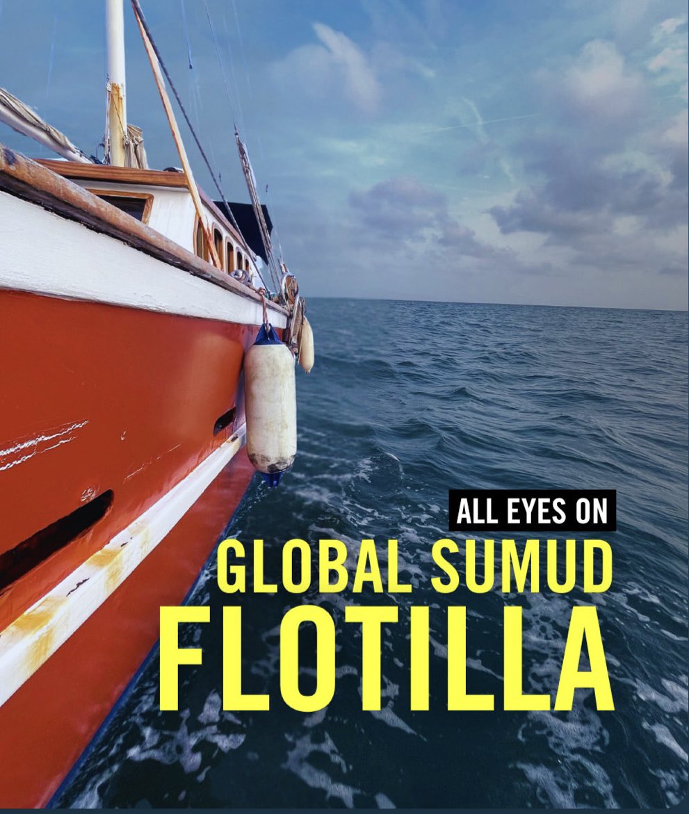 Carolina Crescentini (@carolcrasher) on Twitter photo 