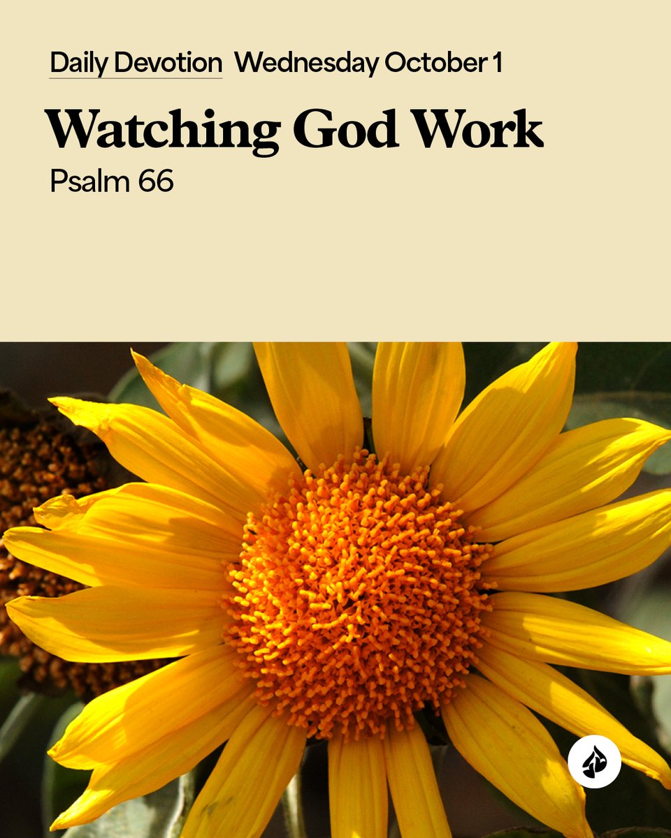 Do you recognize the Lord at work in your life?#Devotional 
intouch.org/read/daily-dev…