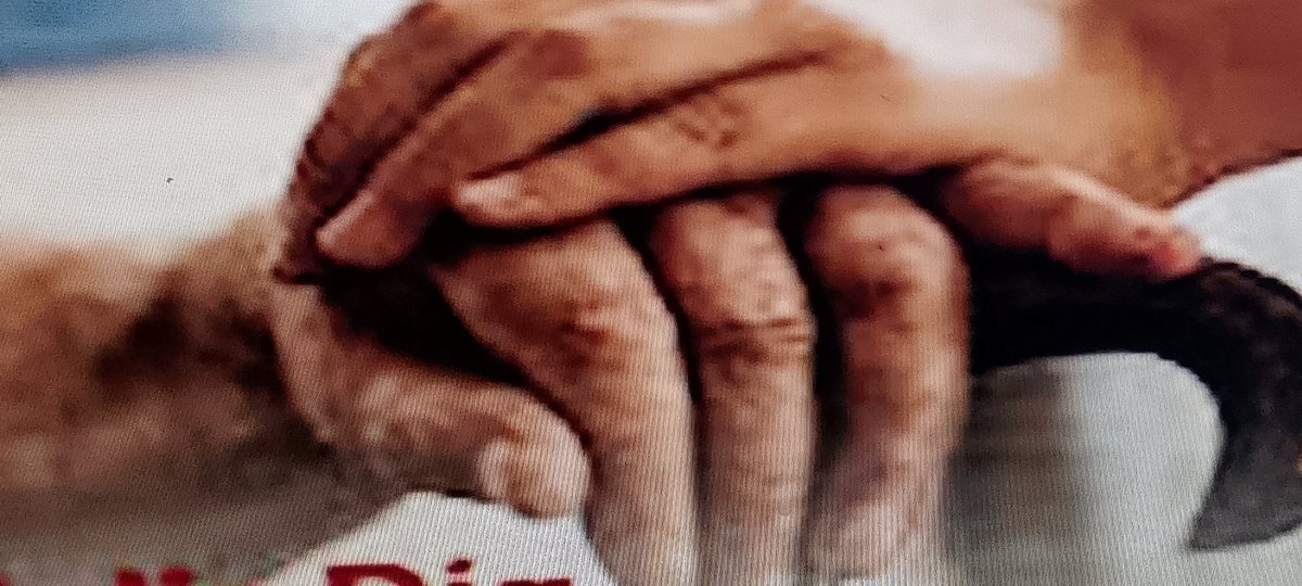 1 de octubre día de las personas mayores desde #ArtemisaJuntosSomosMás  felicidades a todos 
#15AñosArtemisa
<a href="/EduArtemisa/">DPEArtemisa</a>